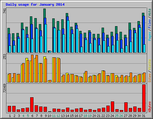 Daily usage for January 2014