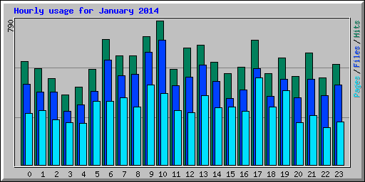 Hourly usage for January 2014