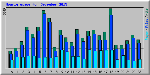 Hourly usage for December 2015