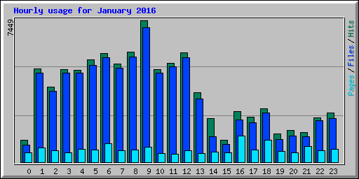 Hourly usage for January 2016