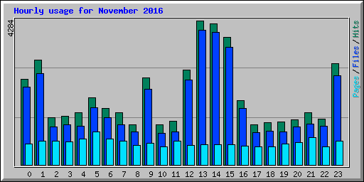 Hourly usage for November 2016