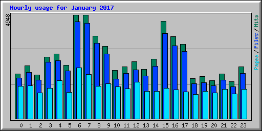 Hourly usage for January 2017